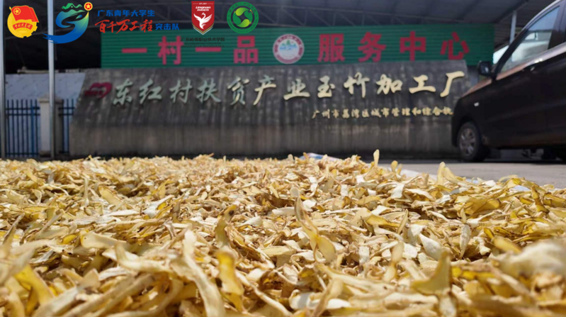 百千万工程-玉竹产业实践-13