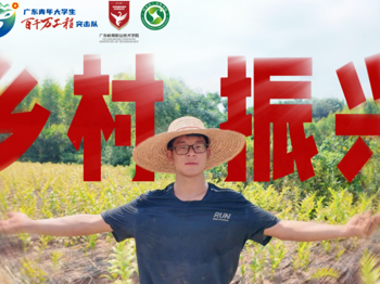 百千万工程丨深耕连州玉竹沃土，青春力量赋能百千万工程