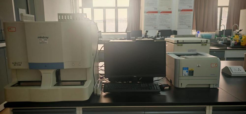 fe8da54304d141f4ad63c7618e226c70.jpeg