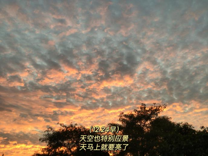 图片 10