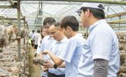 百千万工程｜实践 Day4 农产直播提质拓销，数字化种植持续优化